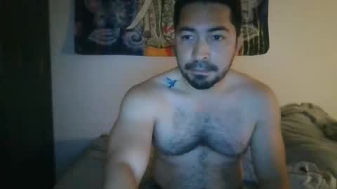 Sexy latino toy online show from 02-02-25, 03:32
