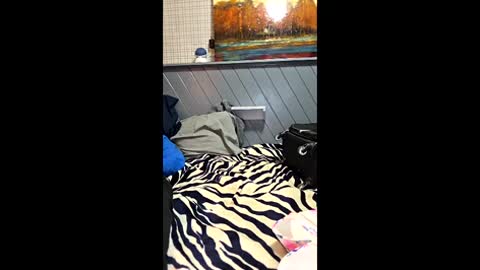 perfectcockandsexyfeet online show from 06-07-26, 03:32