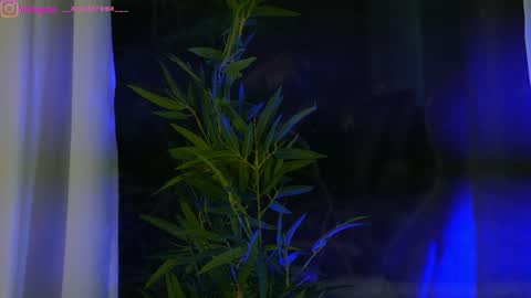 Snapshot of perfectt33n chatting on 01-25-25, 12:37 Dee online show from 01-25-25, 12:37