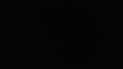 Snapshot of perlabigass21 chatting on 10-31-25, 08:48 lecia online show from 10-31-25, 08:48