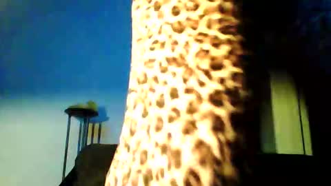 Snapshot of permageil_nackt_alt chatting on 02-26-26, 06:51 permageil_nackt_alt online show from 02-26-26, 06:51