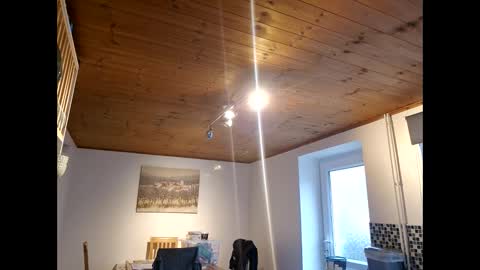 Snapshot of pete_le_meat chatting on 03-12-26, 12:22 pete_le_meat online show from 03-12-26, 12:22