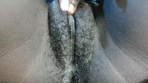 petiteme1 online show from 01-21-25, 08:21