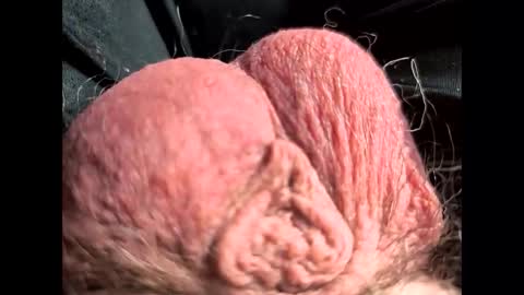 Snapshot of petrol63102 chatting on 02-22-26, 01:09 petrol63102 online show from 02-22-26, 01:09