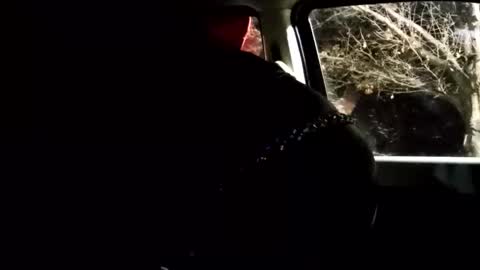 phillipdee online show from 02-01-26, 10:03