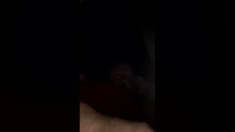 phubbs2882 online show from 05-19-26, 07:47