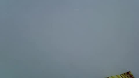 pickle_fingers online show from 06-28-26, 06:47