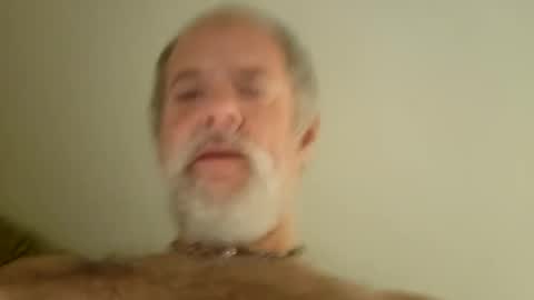 pigbear4trans online show from 01-29-25, 07:04
