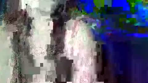 Snapshot of pinayhot_carol chatting on 06-09-26, 03:01 Carol online show from 06-09-26, 03:01