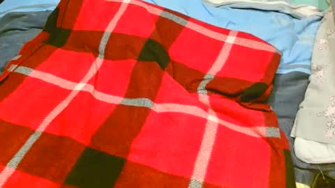 Snapshot of pinewoodman chatting on 11-10-25, 07:07 pinewoodman online show from 11-10-25, 07:07