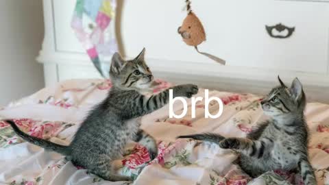 Snapshot of pink_girl0n chatting on 06-03-26, 02:33 Kitty online show from 06-03-26, 02:33