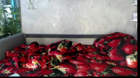 Tatyana online show from 04-28-26, 04:06