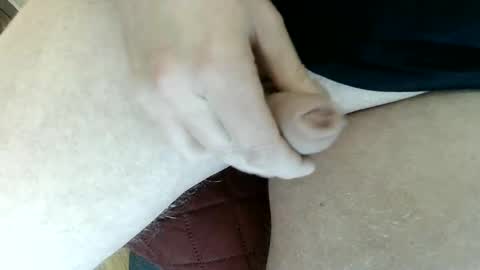 pippo online show from 01-03-25, 03:55