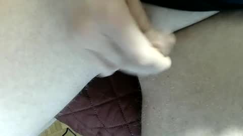 pippo online show from 02-02-25, 11:40