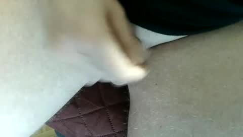 pippo online show from 02-02-25, 08:30