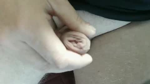 pippo online show from 11-02-25, 10:01