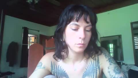 pixiecatfairy online show from 11-11-25, 06:24