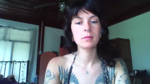 pixiecatfairy online show from 11-23-25, 03:17