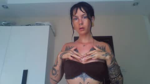 pixiecatfairy online show from 02-23-26, 02:53