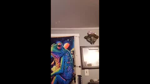 pizzedwife online show from 02-13-26, 08:16