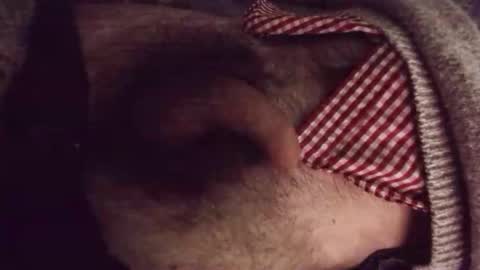 Snapshot of platoniclov chatting on 03-23-26, 03:21 platoniclov online show from 03-23-26, 03:21