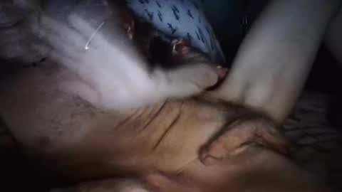 Snapshot of playdaddy756210 chatting on 03-12-26, 02:50 playdaddy756210 online show from 03-12-26, 02:50