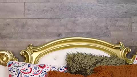 PlayfulSamy online show from 12-12-24, 10:02