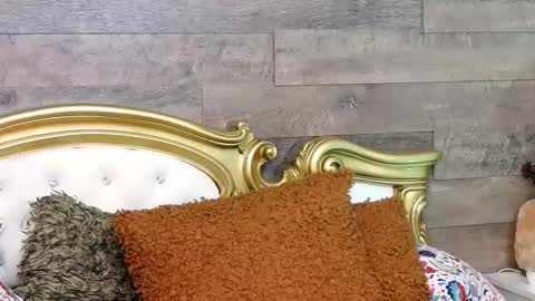 PlayfulSamy online show from 01-13-25, 11:30