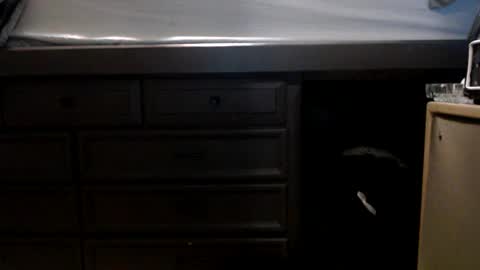 Snapshot of pleasantdinosaurus7537 chatting on 11-17-25, 01:00 pleasantdinosaurus7537 online show from 11-17-25, 01:00