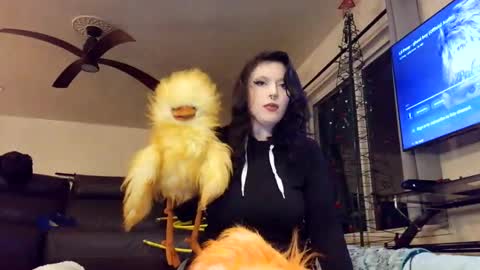 Snapshot of pleasantdinosaurus7537 chatting on 01-13-26, 02:44 pleasantdinosaurus7537 online show from 01-13-26, 02:44