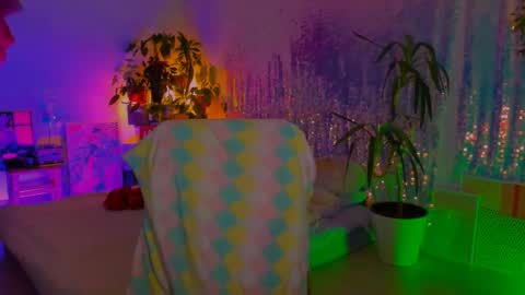 Martha online show from 01-31-26, 07:11