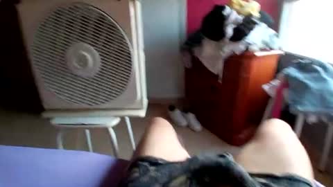 pollonyhuevosgordos online show from 07-17-26, 05:14