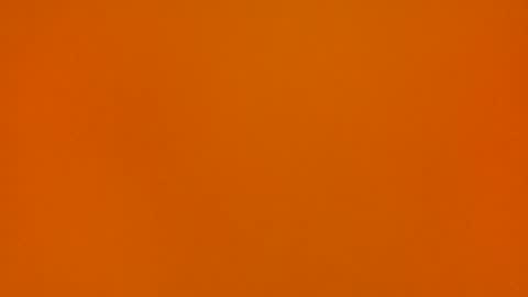 Poprigyn53535 online show from 11-01-25, 10:28