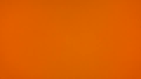 Poprigyn53535 online show from 02-22-26, 10:36