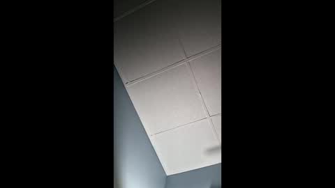 Coco online show from 01-31-26, 07:11