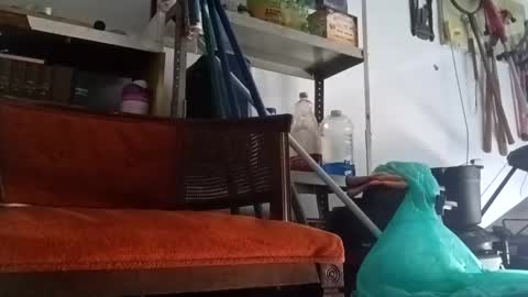 Snapshot of poundgame0710 chatting on 09-14-25, 04:50 PipeLayerPlayer007 online show from 09-14-25, 04:50