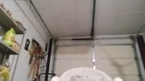 Snapshot of poundgame0710 chatting on 10-04-25, 05:38 PipeLayerPlayer007 online show from 10-04-25, 05:38