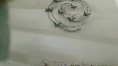 Snapshot of praveen100797 chatting on 10-02-25, 11:17 praveen100797 online show from 10-02-25, 11:17