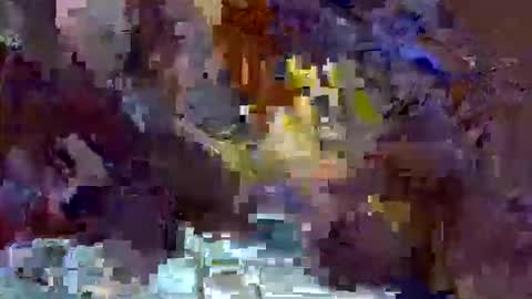 Snapshot of precious_nesh chatting on 05-13-26, 11:07 precious_nesh online show from 05-13-26, 11:07