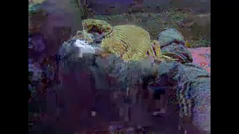 Snapshot of precious_nesh chatting on 05-21-26, 07:15 precious_nesh online show from 05-21-26, 07:15
