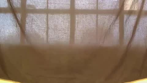 lynn online show from 04-23-26, 12:04