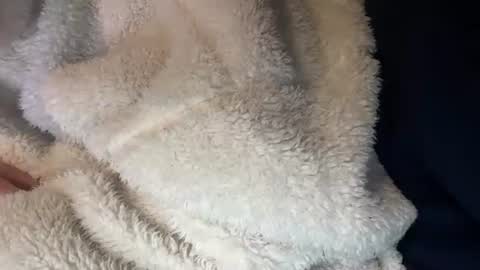 Prelako online show from 10-26-25, 12:00