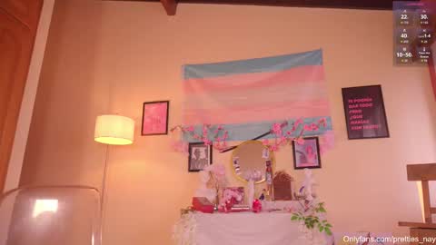 Snapshot of pretties_nay chatting on 02-15-26, 04:47 Nayrobi online show from 02-15-26, 04:47