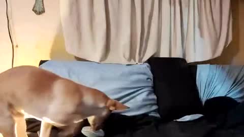 Snapshot of prettyboytatted69 chatting on 02-26-25, 07:53 Prettyslangin69 FYPM online show from 02-26-25, 07:53