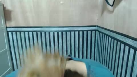 Kate online show from 12-02-25, 09:14