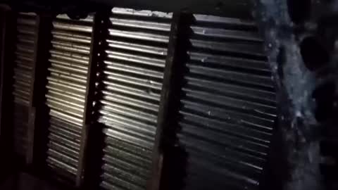 Snapshot of prettyneca5991 chatting on 01-16-26, 05:28 prettyneca5991 online show from 01-16-26, 05:28