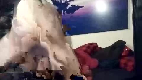 properttw online show from 10-13-25, 04:29