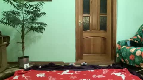 Snapshot of proud_sweet_21 chatting on 06-12-26, 12:09 proud sweet 21 online show from 06-12-26, 12:09