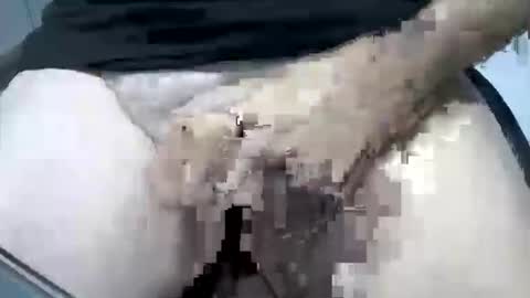 psfunman online show from 02-16-25, 05:48