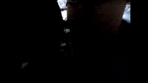 StefiTV1 online show from 04-03-26, 03:04